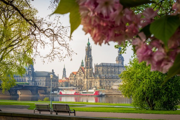 Foto: Blick durch Bäume auf die Dresdner Altstadt mit Elbe